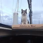 Botel Miraflores